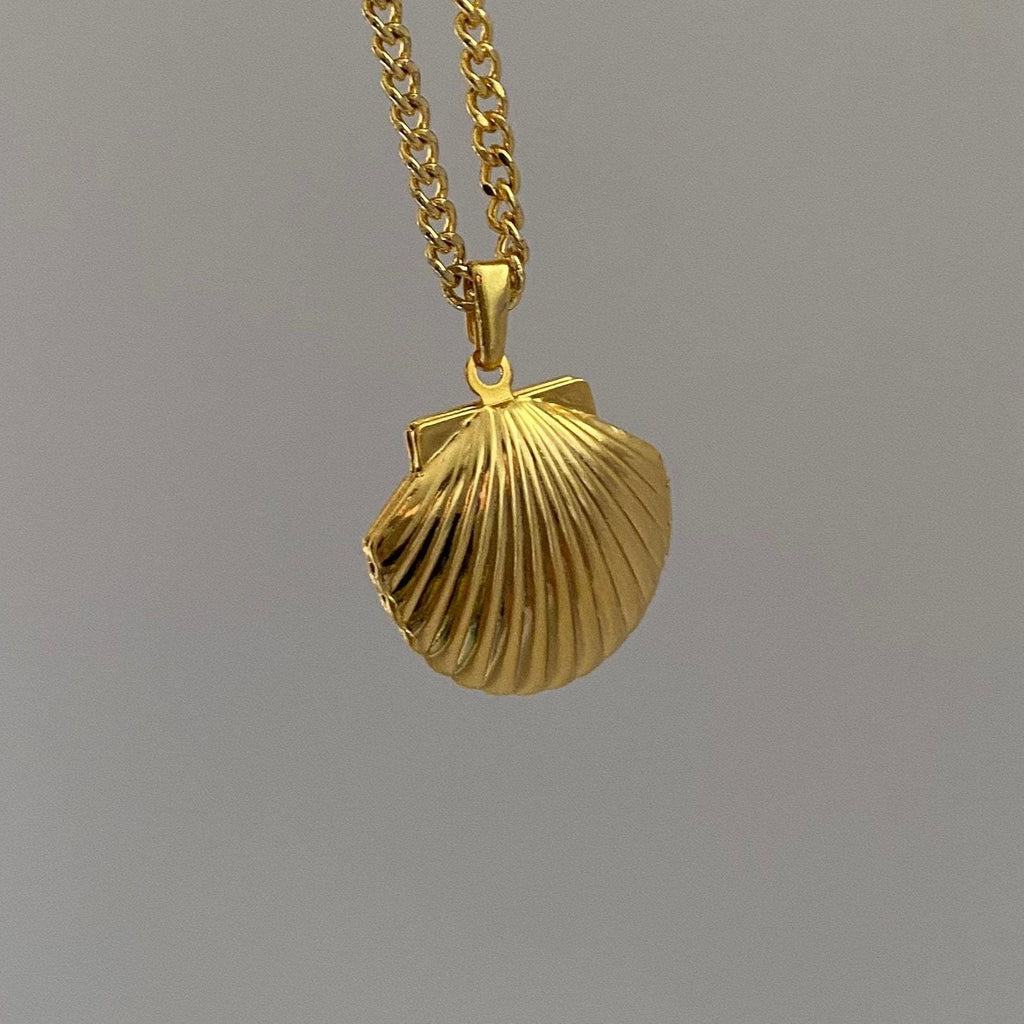 Shell Stainless Steel Album Necklaces