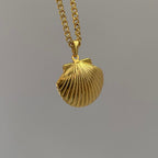 Shell Stainless Steel Album Necklaces