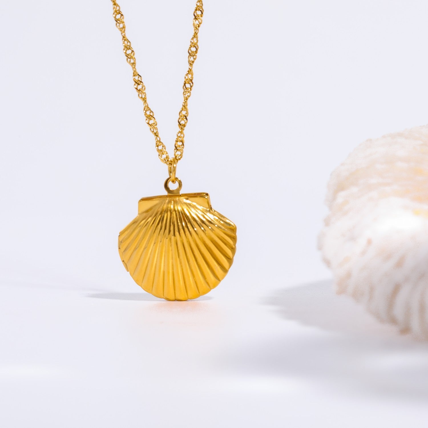 Shell Stainless Steel Album Necklaces